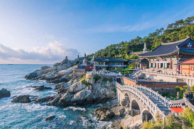 Busan's Best: Sea Temples, Yacht Tour & Sky Capsule Day Tour - A 70-minute yacht view of Busan