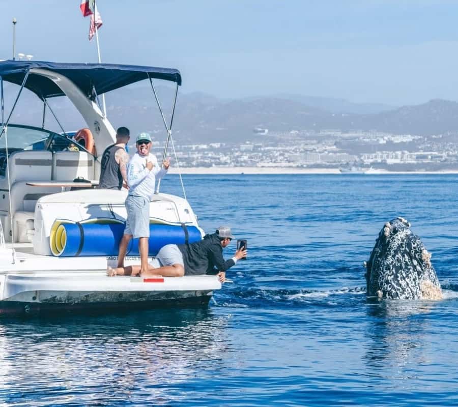 Cabo: Private Yacht Tour, Water Activities, Lunch & Drinks - What the $699 price really means