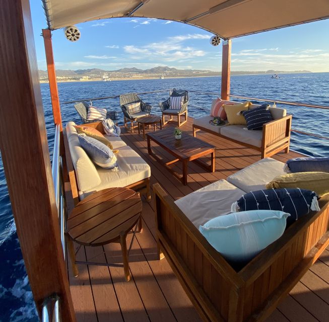 Cabo San Lucas: Private Catamaran Cruise - Key points to know before you book