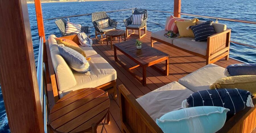 Cabo San Lucas: Private Catamaran Cruise - Paddle boards, swimming, and the floating lily pad