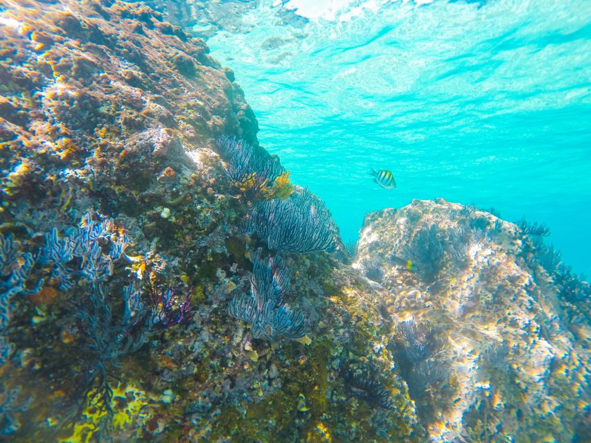 Cabo San Lucas: Private Catamaran Tour with Snorkeling - Practical booking details that matter