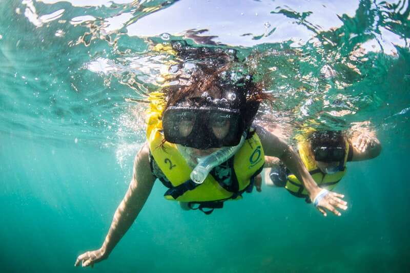 Cabo San Lucas: Snorkel, Lunch and Sail Experience - Snorkeling at Chileno Bay or Santa Maria Bay