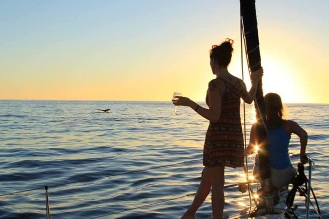 Cabo San Lucas Sunset Sailing Shared Cruise - Sunset, whales, and Cabo’s evening lights