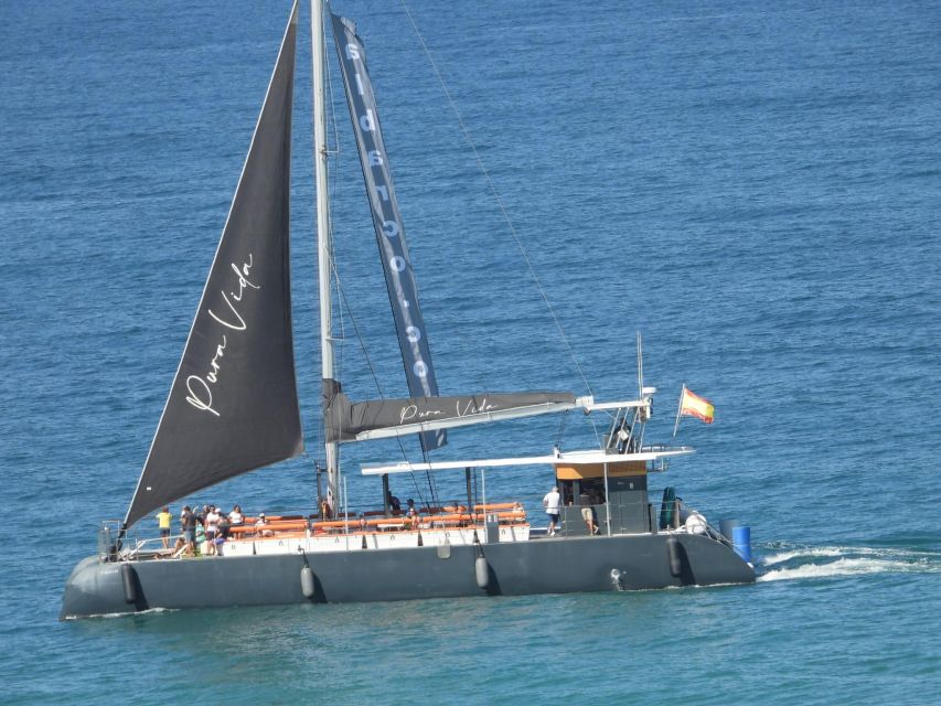 Cádiz: Bay of Cádiz Catamaran Tour with Host - What the 75-minute ride feels like