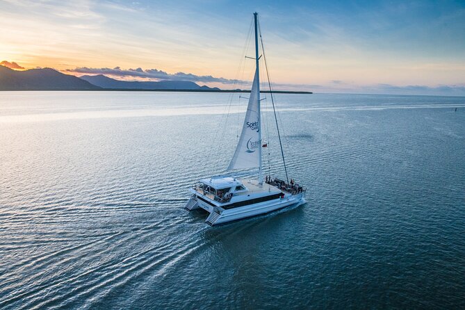 Cairns Catamaran Harbour and Dinner Cruise - A calm cruise past Cairns waterfront