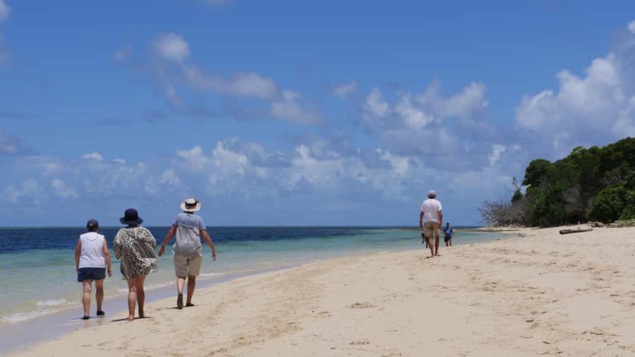 Cairns: Green Island & Great Barrier Reef Sailing Tour - Who should book this Cairns reef trip?