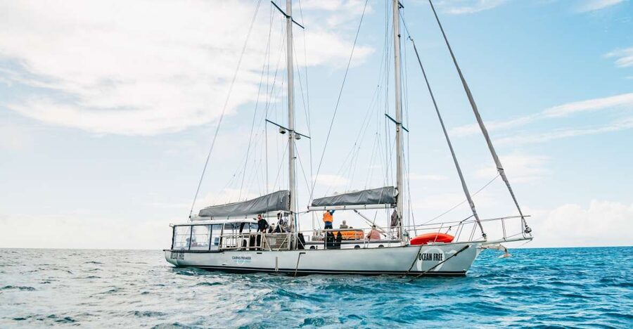 Cairns: Green Island & Great Barrier Reef Sailing Tour - Lunch back on the schooner