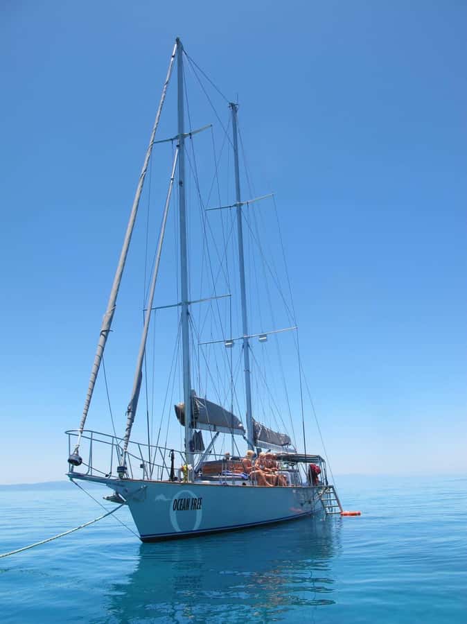 Cairns: Green Island & Great Barrier Reef Sailing Tour - Afternoon snorkelling and the ride home
