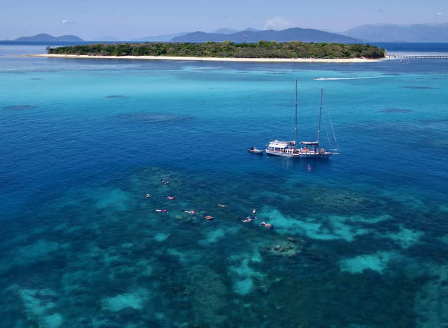 Cairns: Green Island & Great Barrier Reef Sailing Tour - The crew is a major part of the value