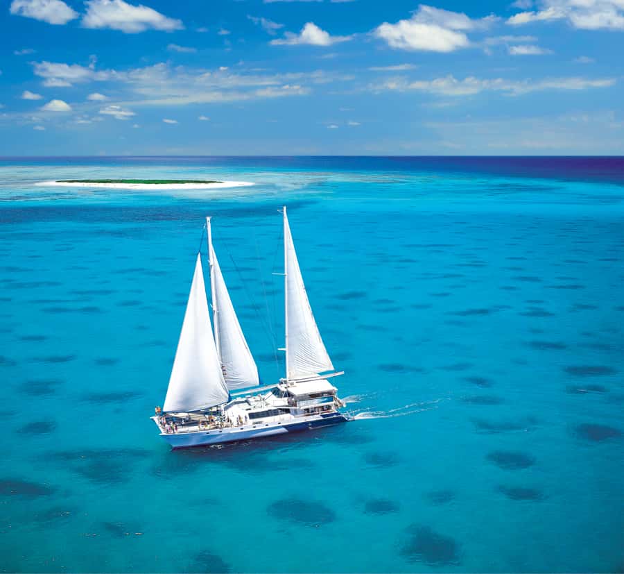 Cairns: Ocean Spirit Great Barrier Reef Full Day Tour - Three ways to see the reef