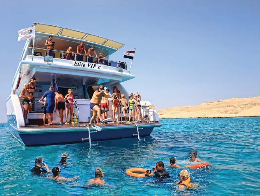 Cairo to Red Sea: VIP Yacht Cruise, Snorkeling & Lunch - What the $44 price really buys