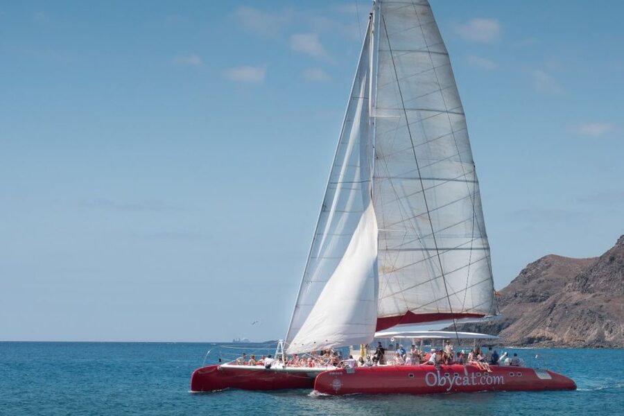 Caleta de Fuste: Catamaran Sailing Experience - Key points at a glance