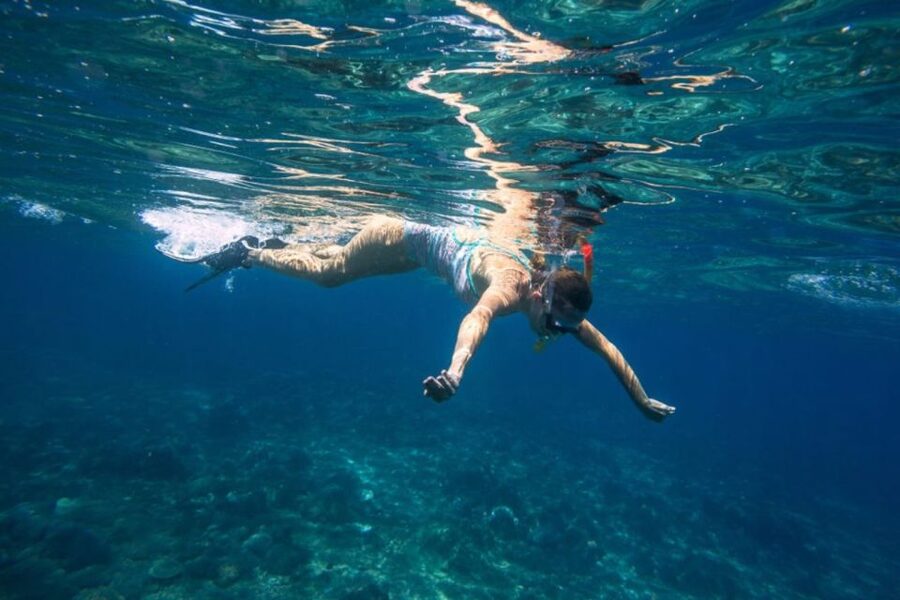 Caleta de Fuste: Catamaran Sailing Experience - Coastal sailing and possible wildlife