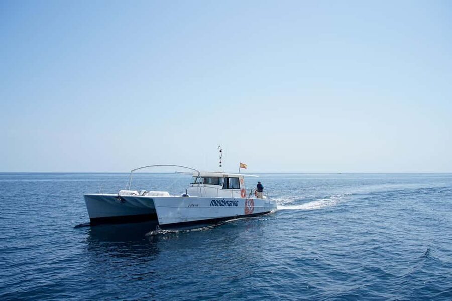 Calpe: Motor Catamaran Boat Tour with Sunset Option - What to bring and what not to expect