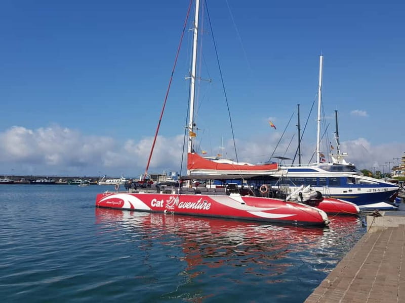 Cambrils/Salou: Coastline Catamaran 2h with drinks, pickup - Setting sail from Cambrils at 10:00