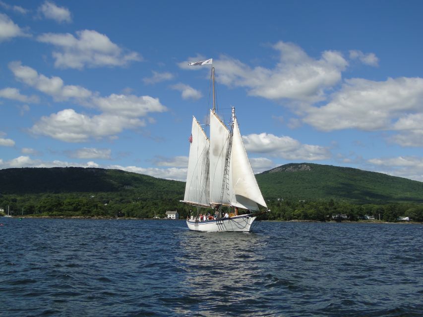 Camden: Historic Schooner Day Sailing Trip - Penobscot Bay From the Water