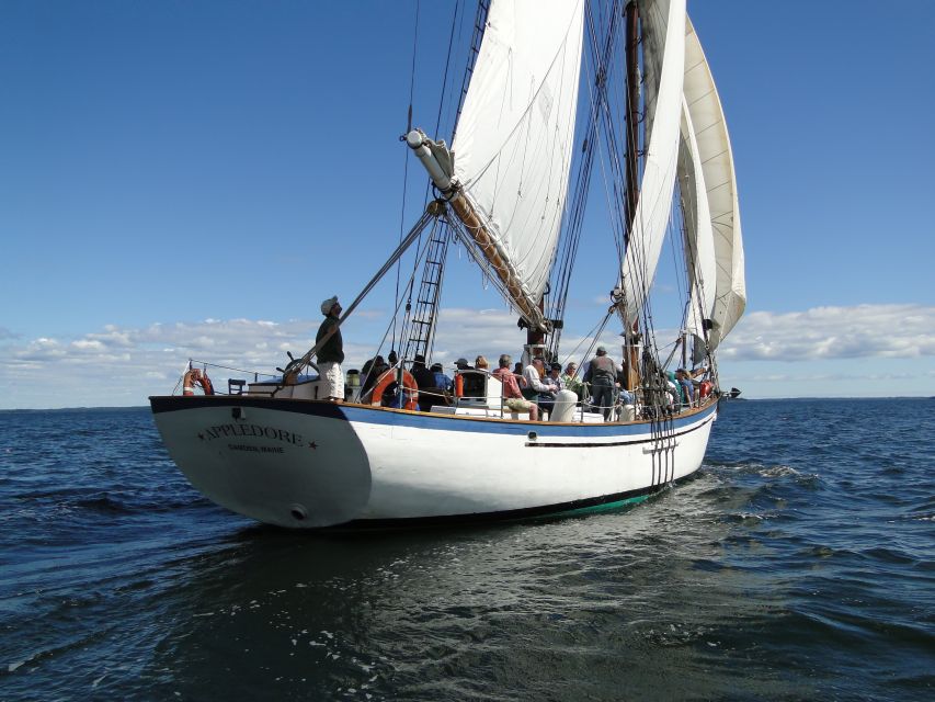 Camden: Historic Schooner Day Sailing Trip - Who Will Enjoy the Appledore II Most?