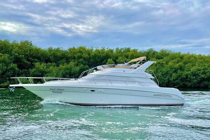 Cancun Yacht Tour - SEARAY YACHT 46 FT GREAT FOR SUNSET 15 PEOPLE MAX 25P9 - Los Blanquizales for turquoise-water swimming