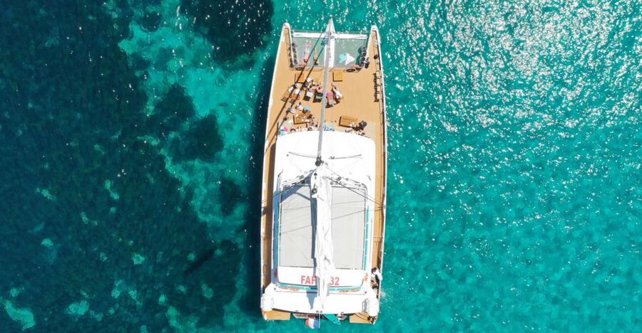 Cannes: Half-Day Catamaran Cruise - Choosing between the Lérins Islands and the Esterel coast