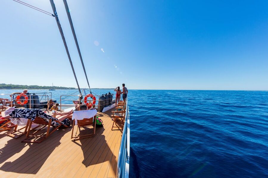 Cannes: Half-Day Catamaran Cruise with Lunch - The Bay of Cannes and the Lérins Islands