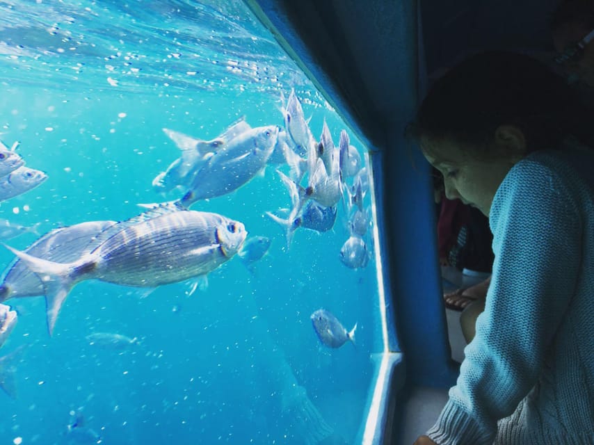 Cap Norfeu: Costa Brava Catamaran Trip with Underwater Views - Is $35 a fair price?
