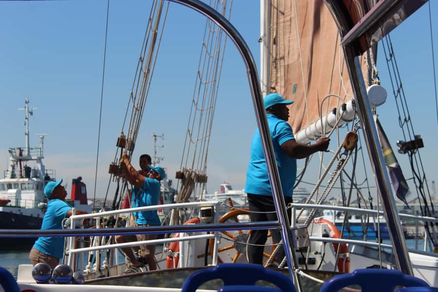 Cape Town: 1 Hour Table Bay Sailing Tour - My verdict: a simple way to see the city from the bay
