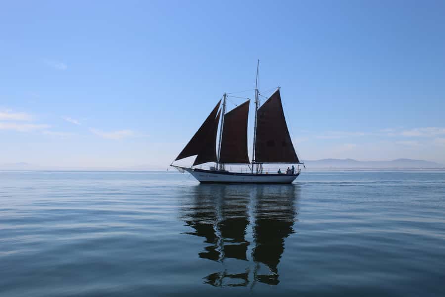 Cape Town: 1 Hour Table Bay Sailing Tour - Across Table Bay toward Milnerton lighthouse