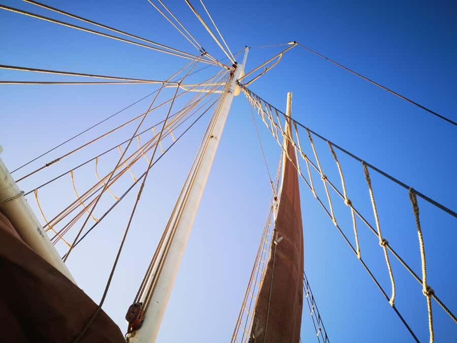 Cape Town: 1 Hour Table Bay Sailing Tour - Who will enjoy the Spirit of Victoria most