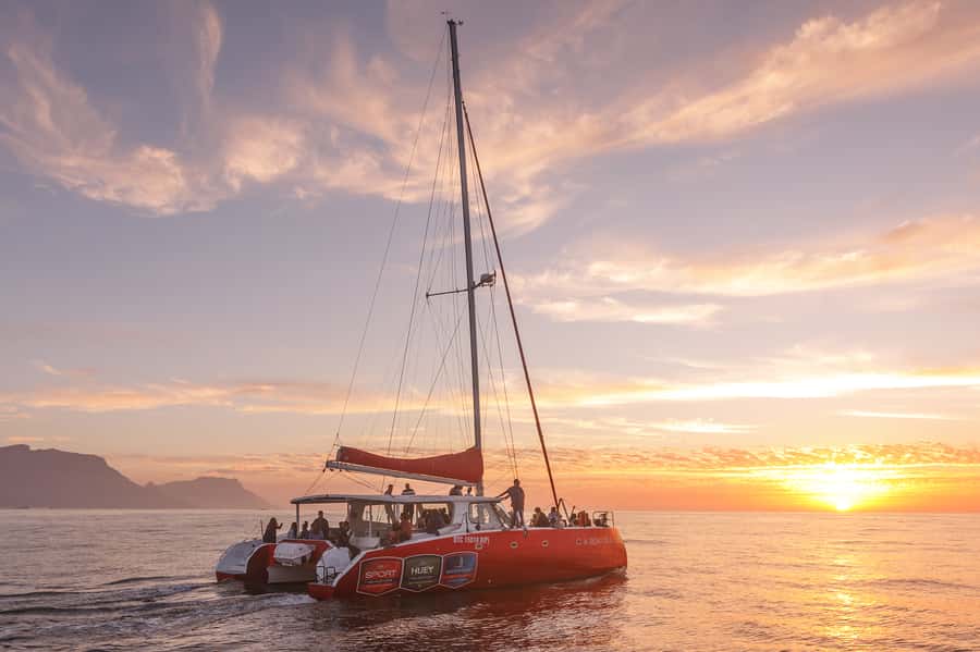 Cape Town: Catamaran Champagne Sunset Cruise - Is $37 good value?