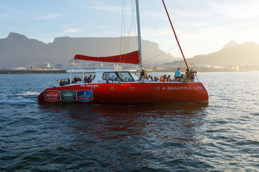 Cape Town: Catamaran Champagne Sunset Cruise - The Atlantic seaboard route toward Clifton