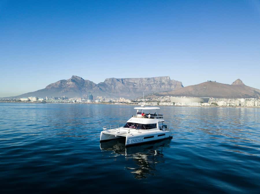 Cape Town: Scenic 1-Hour Coastal Catamaran Cruise - Key points to know before you book