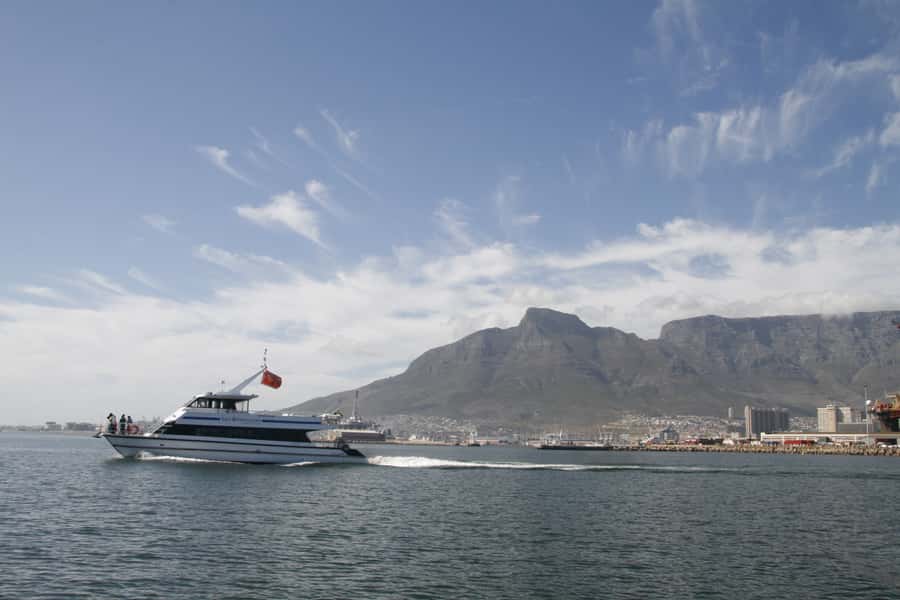 Cape Town: Scenic 1-Hour Coastal Catamaran Cruise - Booking advice for the best experience