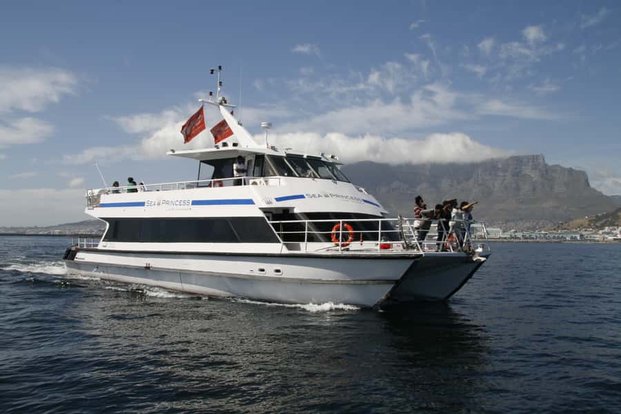 Cape Town: Scenic 1-Hour Coastal Catamaran Cruise - The first views of Table Mountain and the city