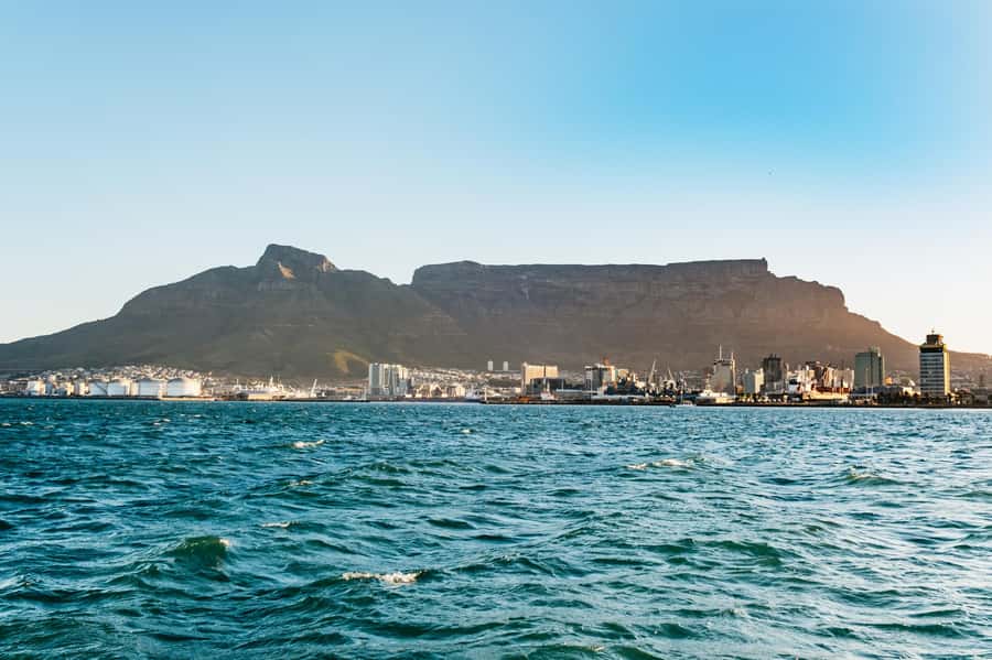 Cape Town: Sunset Catamaran Cruise on Table Bay with Bubbles - Who will get the most from this cruise