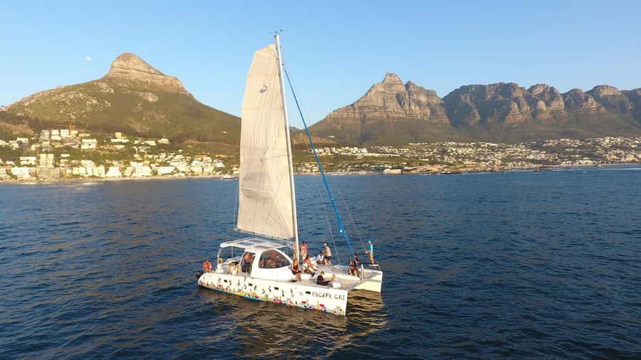 Cape Town: Table Bay Cruise by Catamaran - Foredeck trampolines or covered aft seating