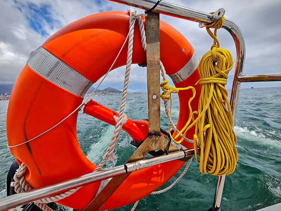 Cape Town: Table Bay Cruise by Catamaran - Sea-life sightings depend on the day