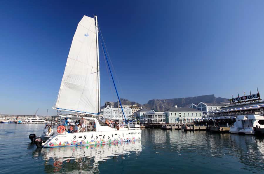 Cape Town: Table Bay Cruise by Catamaran - Watching Table Mountain change from offshore