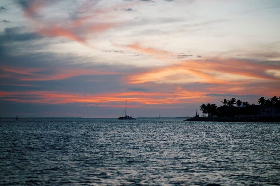Captain's Choice: Dolphin Watch Sunset Sail - Who will get the most from this cruise