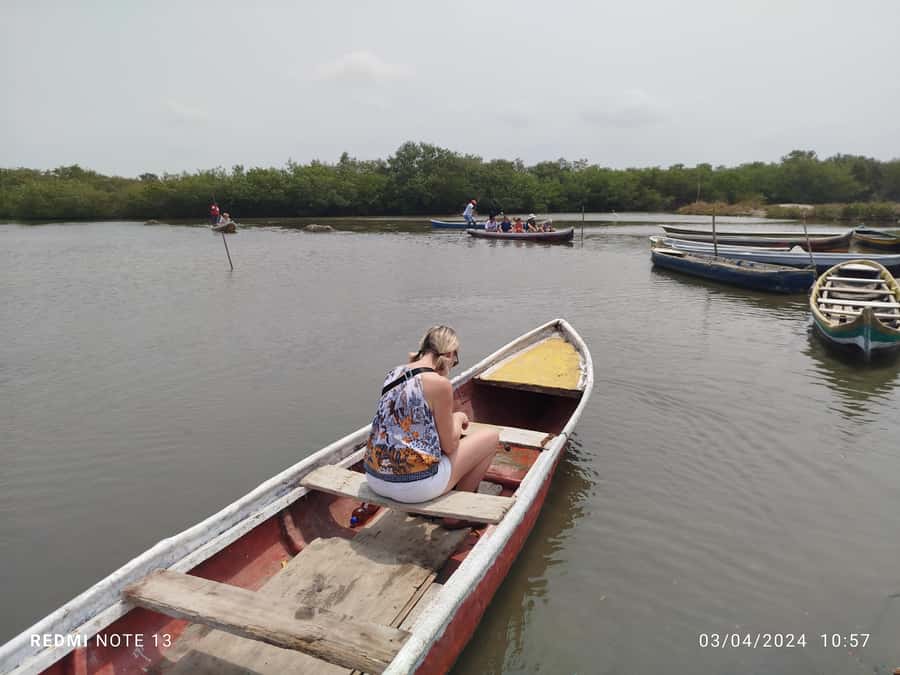 Cartagena: Private Sail in the mangrove GUIDE in ENGLISH - Should you book the La Boquilla mangrove tour?