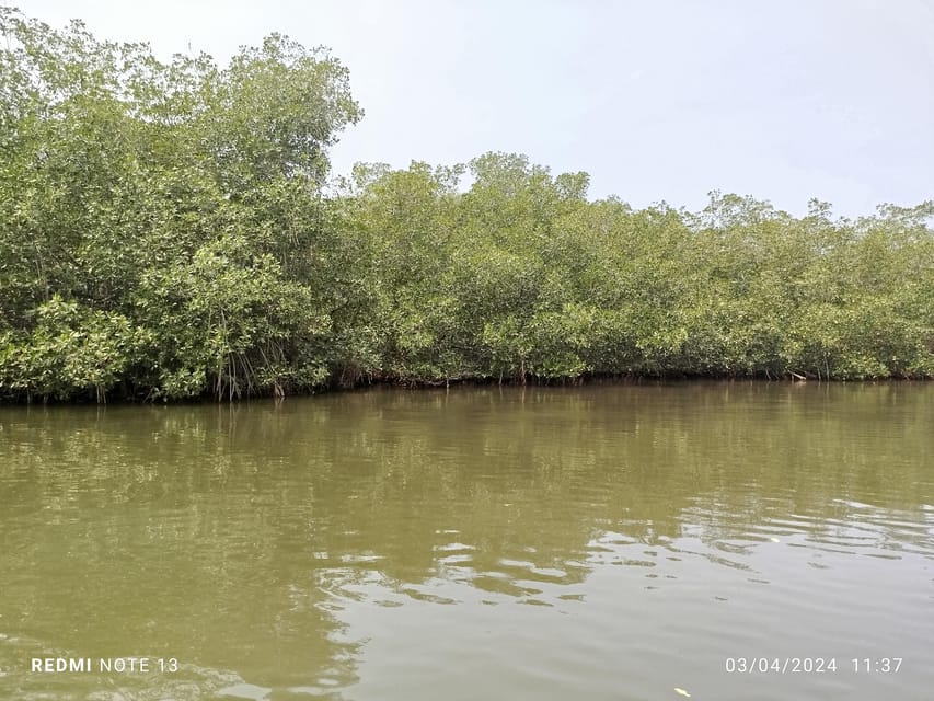 Cartagena: Private Sail in the mangrove GUIDE in ENGLISH - Timing, length, and what the price covers