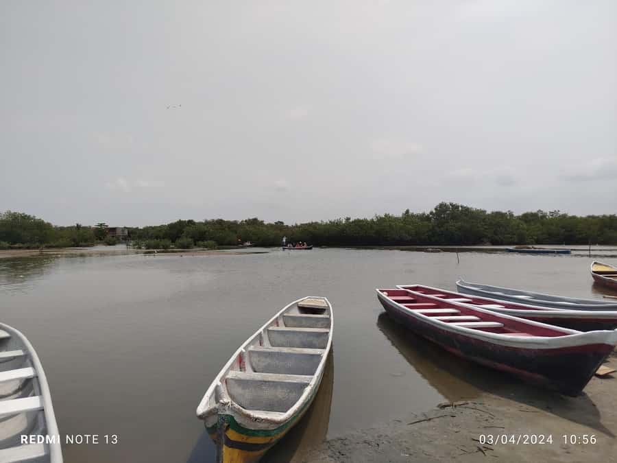 Cartagena: Private Sail in the mangrove GUIDE in ENGLISH - Who will enjoy this canoe outing