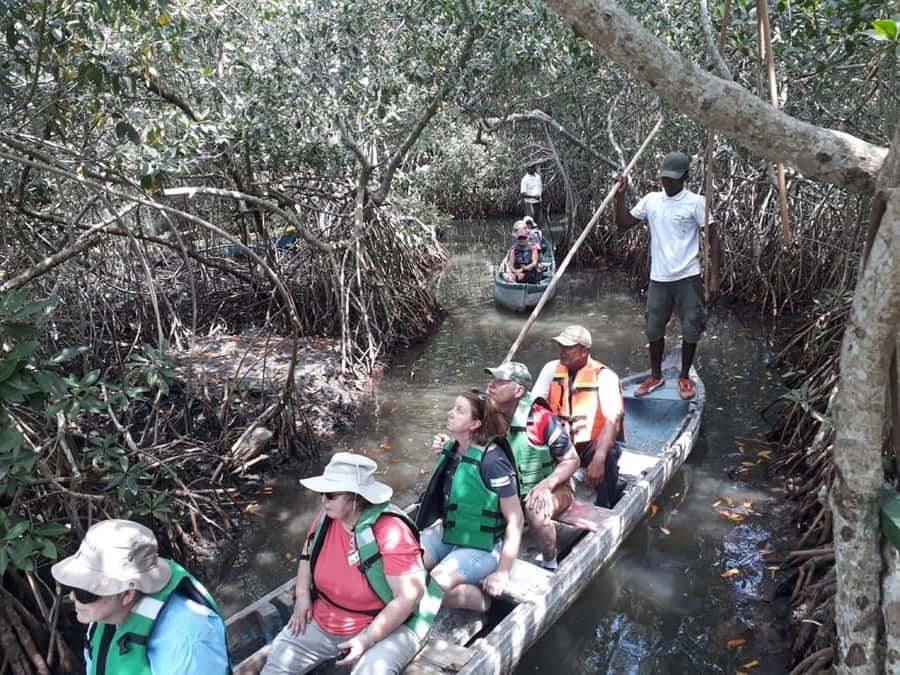 Cartagena: Sail in the mangroves of Cartagena - Starting near La Boquilla and Marlinda
