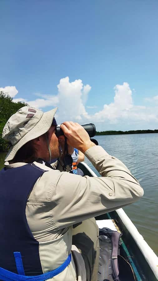 Cartagena: Sail in the mangroves of Cartagena - Who should book this mangrove tour?