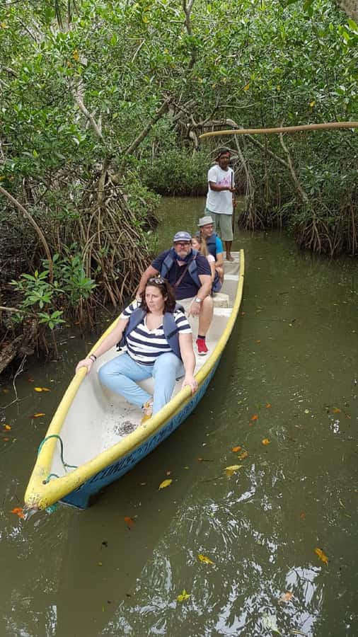 Cartagena: Sail in the mangroves of Cartagena - Three tunnels through the mangroves