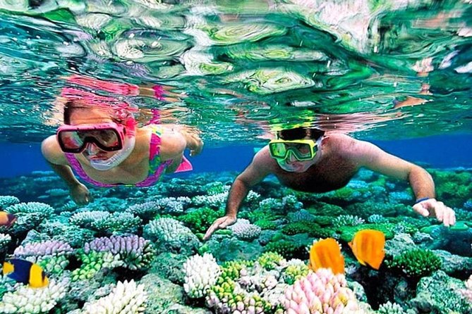 Catamaran adventure to Isla Mujeres with Snorkel,Buffet,Open Bar and Beach Club - The spinnaker ride adds a jolt of fun