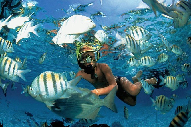 Catamaran adventure to Isla Mujeres with Snorkel,Buffet,Open Bar and Beach Club - Isla Mujeres, Playa Norte, and the beach club stop