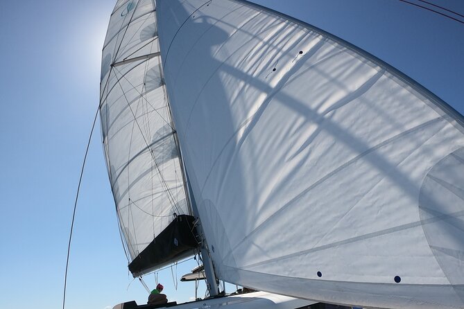 Catamaran Alghero, Catamaran Sailing Day Trip - Is $223.73 a fair price?