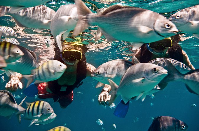 Catamaran and Snorkeling Cruise At Carlisle Bay - The crew and the mood aboard