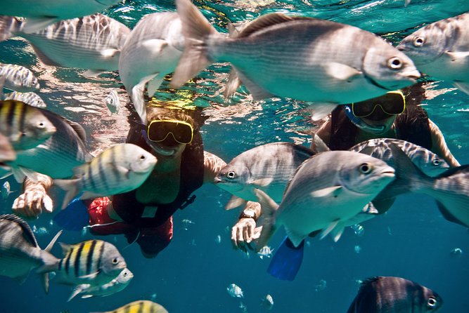 Catamaran and Snorkeling Cruise At Carlisle Bay - Pickup problems deserve serious attention