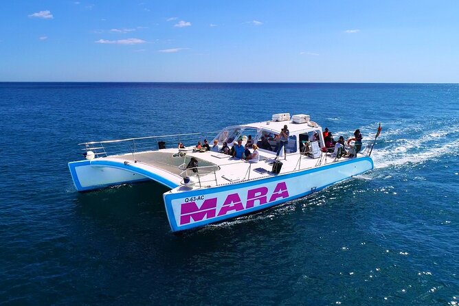 Catamaran BBQ on the Beach: Cruise to Benagil Caves - Is the $77.62 Price Good Value?